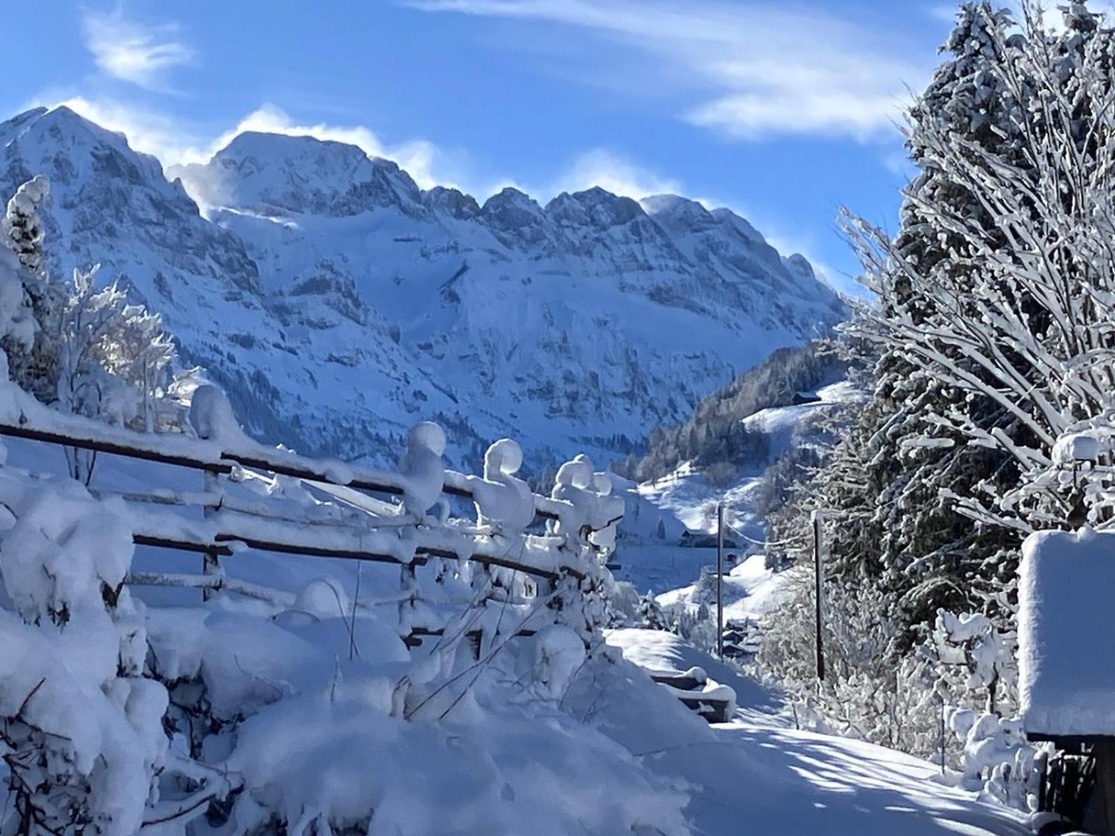 Studio Cosy Escape Val dʼIlliez Exteriör bild